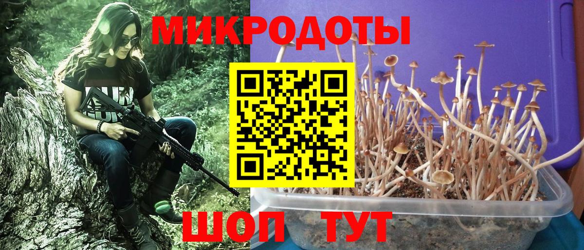 Псилоцибиновые грибы прущие грибы  Вход с VPN  Выборг  Галлюциногенные грибы GOLDEN TEACHER 